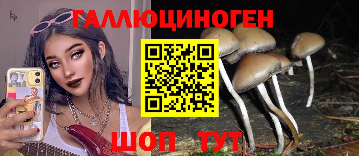 Псилоцибиновые грибы Cubensis  Вход с VPN  Алейск 